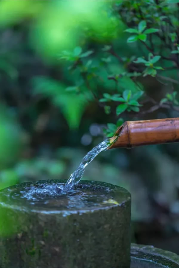 庭院·花園水景——養(yǎng)護(hù)